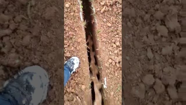 Грунторез или траншее копатель