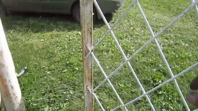 Колка дров. смотреть онлайн