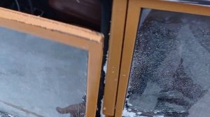 зимний запуск ваз 2101 после простоя