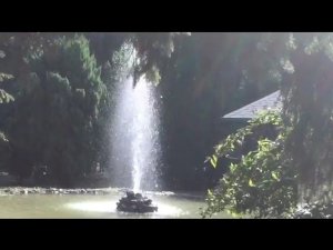 Каникулы в Нальчике!