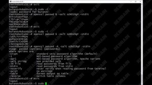 Linux by Rebrain:  Пользователи в Linux