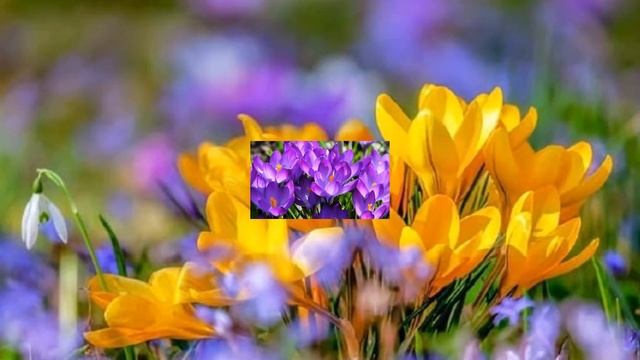 СТИХИ ДЛЯ ДЕТЕЙ К ПРАЗДНИКУ ВЕСНЫ 8 МАРТА смотреть онлайн