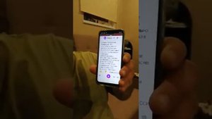 Алиса где зарегистрирована РФ ?