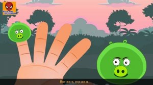 Семья пальчиков ЗЛЫЕ СВИНКИ - Angry Pigs Finger Family in Russian