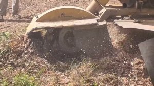 Самоходная дробилка пней Vermeer SC60TX