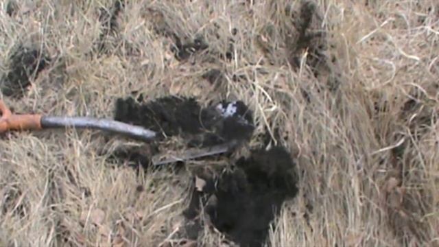 Металлокоп в лесу и на ферме смотреть онлайн