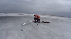 Закрытие сезона зимней рыбалки Веселовское водохранилище 10.03.18