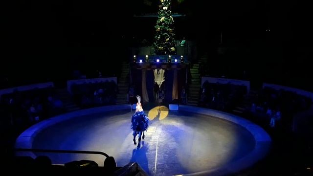 АМАЗОНКИ ВАЛЕНТИНА КУЛЬКОВА. AMAZONS. ДОНЕЦК 2017-2018 смотреть онлайн