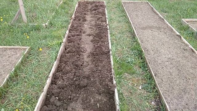Посадка картофеля. Разные способы для получения большого урожая.