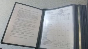 Обзор в санатории "Жемчужина Урала" г. Миасс озеро Тургояк ( 1)