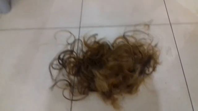 Процесс стрижки смотреть онлайн