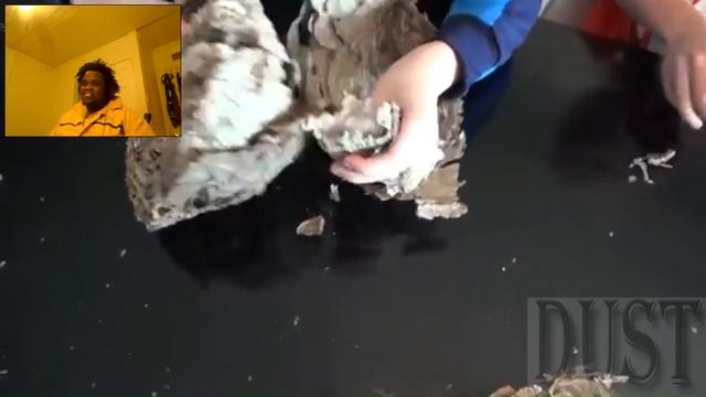 DustDaRapper React: What's inside a Giant Wasp Nest? смотреть онлайн