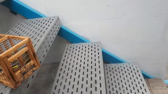 Очередной улов Зеленушка.