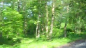 Куршская коса Завернули в посёлок Рыбачий