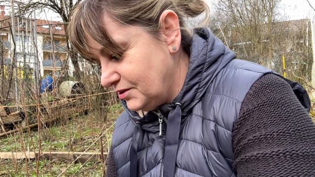 Свекровь разрешила,сегодня мне не очень,давление,посадила цветы,муж исполняет все мои желания👍