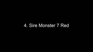 Microphone Shootout - Part 1 - AKG C7, Neumann KMS 105, Shure KSM 9, Sire Monster 7 Red