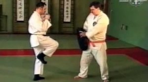 Гошин рю полицейский вариант рукопашного боя 37