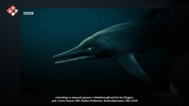 Обитатели древних морей: морские рептилии