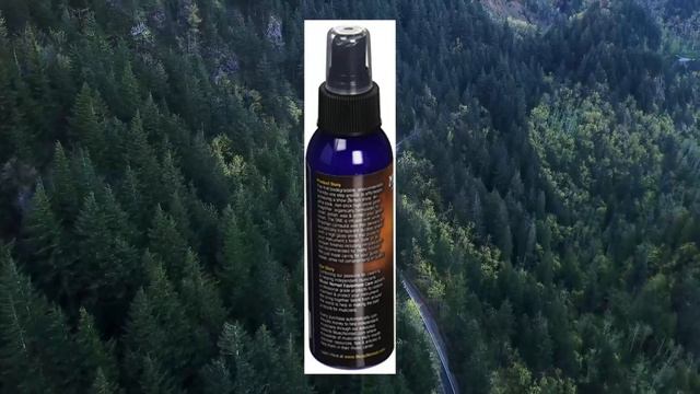 Top 10 Guitar Cleaning and Care Products You Can Buy May 2023 смотреть онлайн