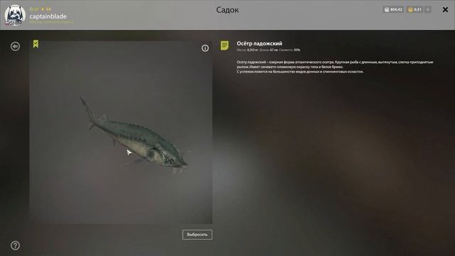 РР4. Ладожский Архипелаг. ФАРМ на СУДАКЕ! и Трофей. Где ловить Лосось Атлантический, Щука, Палия смотреть онлайн