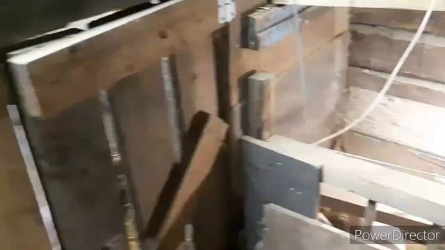 ВЕС ПОРОСЕНКА В 21 ДЕНЬ!ПРОДАЛИ КОРОВ ? смотреть онлайн