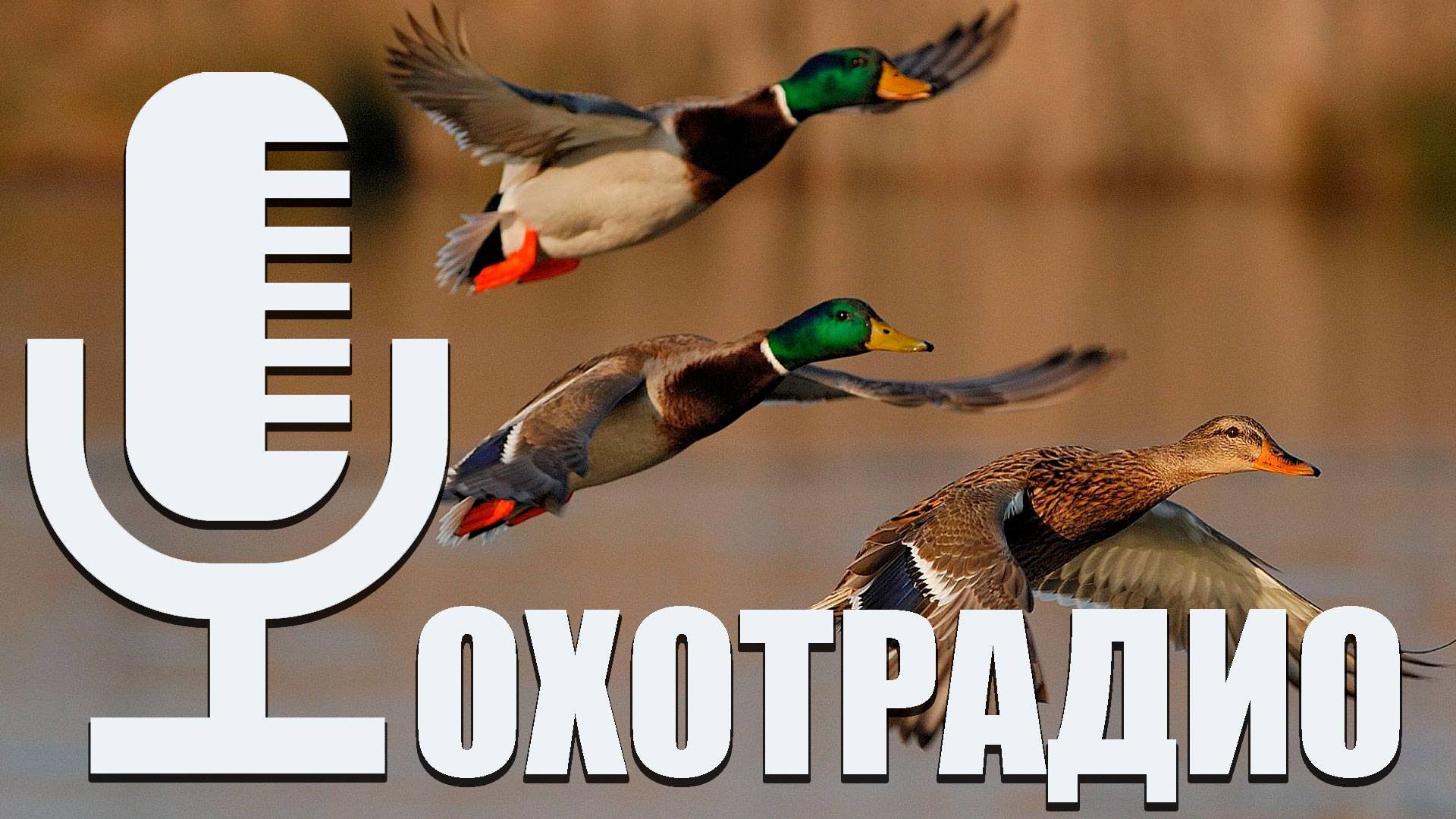 КАК ВЫБИРАТЬ РУЖЬЕ ДЛЯ ОХОТЫ 2024 _ ПО КАКИМ КРИТЕРИЯМ_ ОХОТРАДИО