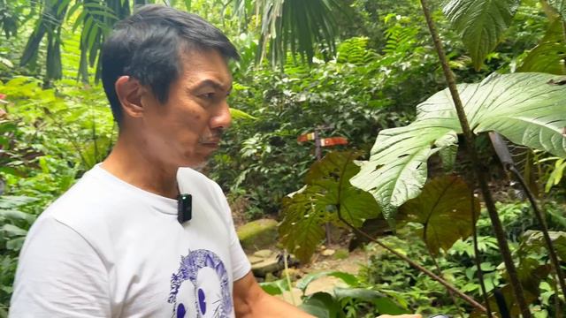 Nature Play @ Tropical Spice Garden | Botanical Adventures | Fun Workshops | Music | Good eats смотреть онлайн