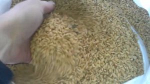 Очистка риса