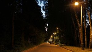 Песня обыкновенного стеблевого сверчка, или обыкновенного трубачика (Oecanthus pellucens)