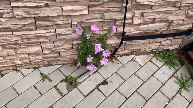 Осенняя Павловка. Уезжаем. Природа Башкирии | Отдых с детьми | Домашние Веселушки | ВЛОГ