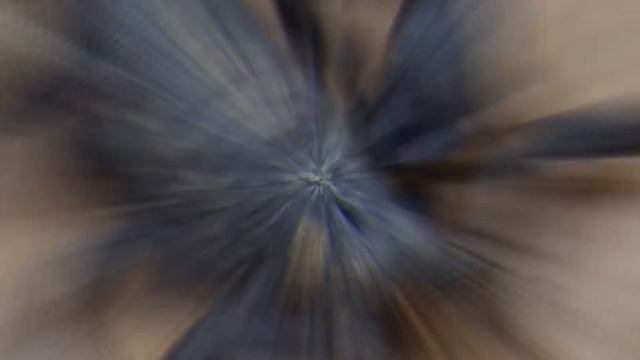 5 САМЫХ ОПАСНЫХ ЖИВОТНЫХ В МИРЕ. смотреть онлайн