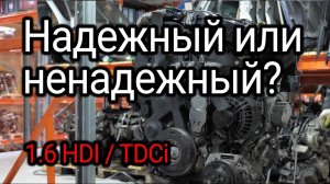 Разбираем двигатель 1.6 HDI TDCI (DV6TED4). Можно ли назвать его надежным?