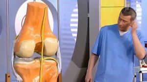 Малоберцовый нерв. Путеводитель по самому себе