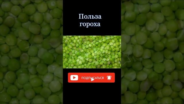 Польза гороха