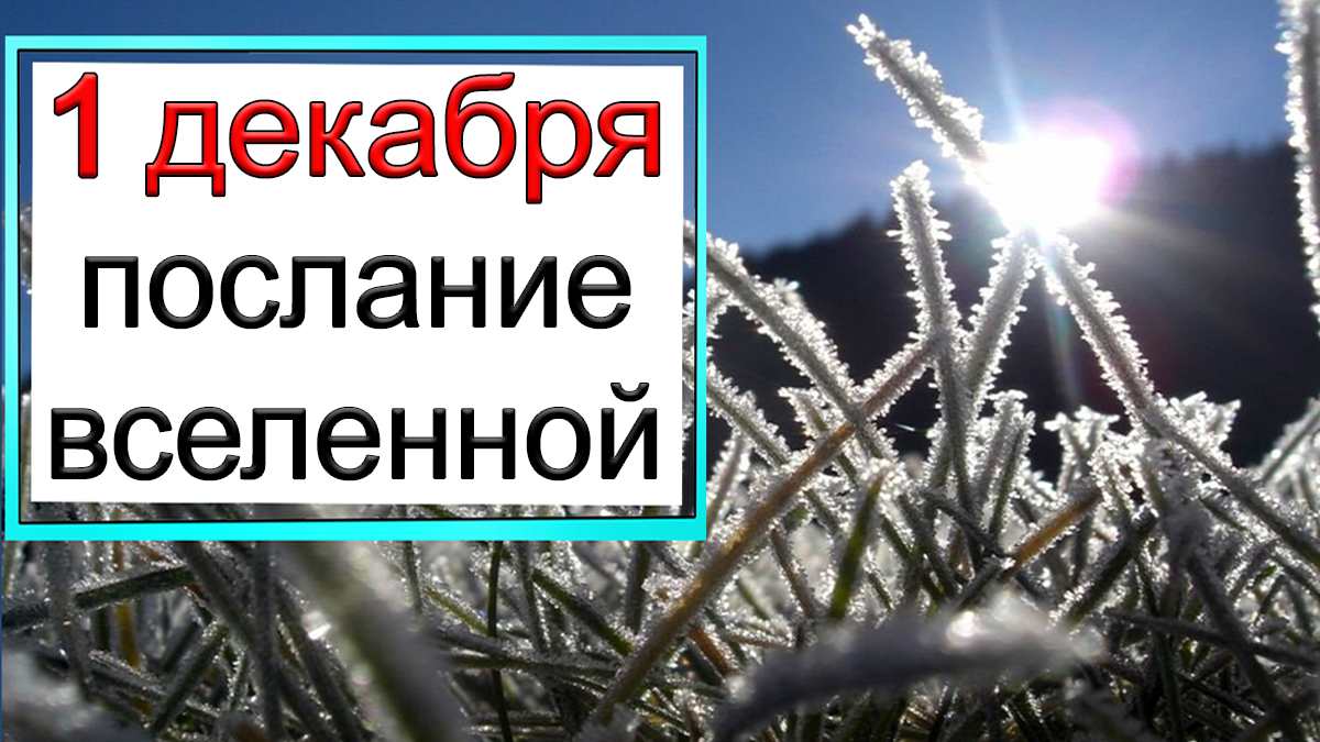 ПОСЛАНИЕ ВСЕЛЕННОЙ на 1 декабря. *Эзотерика Для Тебя*