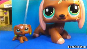 LPS: Новый пет меня удивил!
