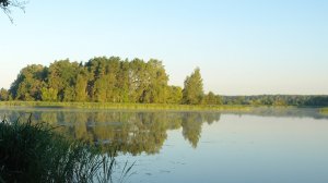 КОЗА НОСТРА в СКНЯТИНО