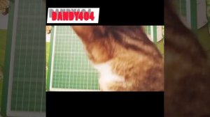 Как слепить Мисс Ти из Игры Scary teacher 3D