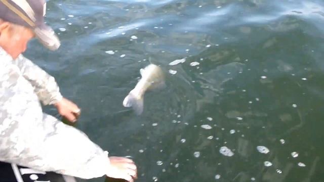 Судак пять с копейками. смотреть онлайн