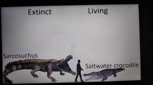 Living vs Extinct animals size comparison