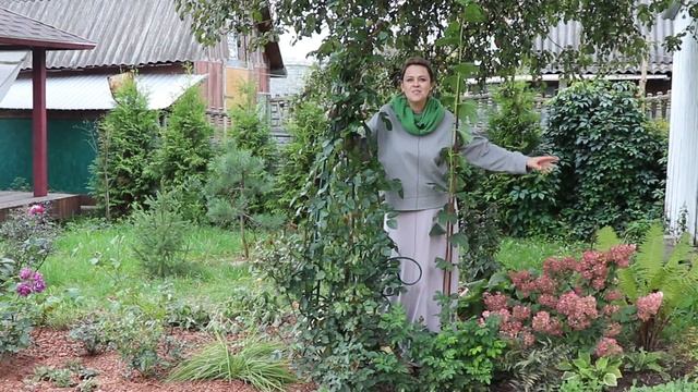 Празднование ЮБИЛЕЯ! Розыгрыш ошеломительного подарка! смотреть онлайн