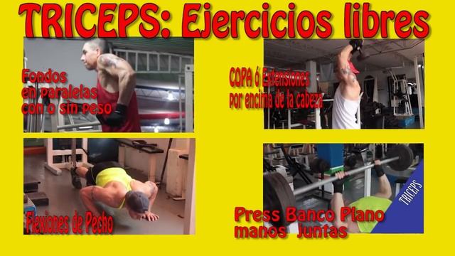  ECTOMORFOS ? Rutina de Brazos Correcta ?