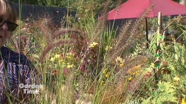 Fall Color Grasses смотреть онлайн