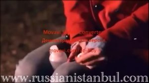 ЭГО-Ты моя девочка ♥
