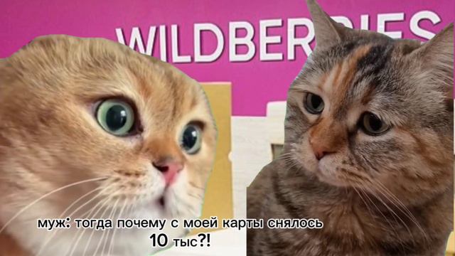 21 января 2024 г. смотреть онлайн