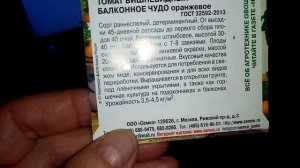 Сею на Рассаду  Помидоры  БАЛКОННОЕ ЧУДО- Оранжевое?? для Выращивания на ОКОШКЕ в Доме!!! 15.01.202