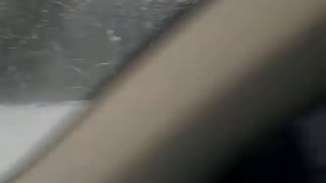 Лось смотреть онлайн