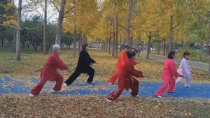 Китайская гимнастика Тайцзицюань от китайцев （Tai Chi 18 form)