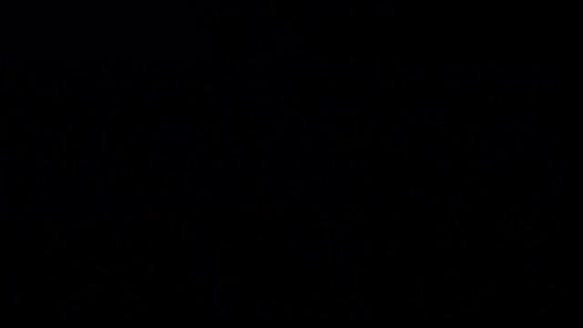 #Сосна2 Хвойные растения16 Декоративные растения смотреть онлайн