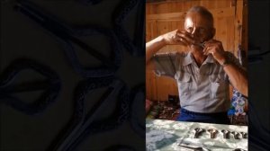 Научиться играть на кубызе (варгане) за 5 минут!